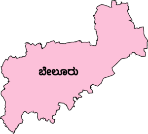 ಬೇಲೂರು ವಿಧಾನಸಭಾ ಕ್ಷೇತ್ರ