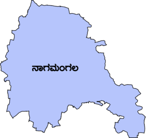 ನಾಗಮಂಗಲ ವಿಧಾನಸಭಾ ಕ್ಷೇತ್ರ