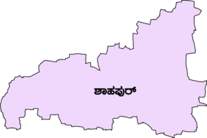 ಶಹಾಪುರ ವಿಧಾನಸಭಾ ಕ್ಷೇತ್ರ