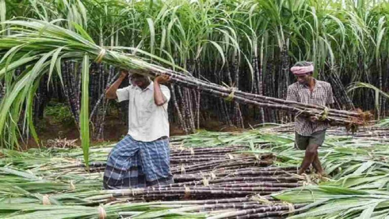 ಬೆಳಗಾವಿ | ಕೇಂದ್ರದಿಂದ ಸಕ್ಕರೆ ಎಂಎಸ್&zwnj;ಪಿ ಹೆಚ್ಚಳದ ಭರವಸೆ, ಕಬ್ಬಿನ ದರವನ್ನು ಕಾರ್ಖಾನೆಗಳೇ ಪ್ರಕಟಿಸಲಿವೆ: ಡಿ.ಕೆ.ಶಿವಕುಮಾರ