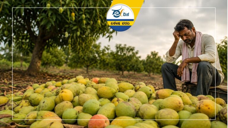 ತೋತಾಪುರಿ ಬೆಲೆ ಕುಸಿತ