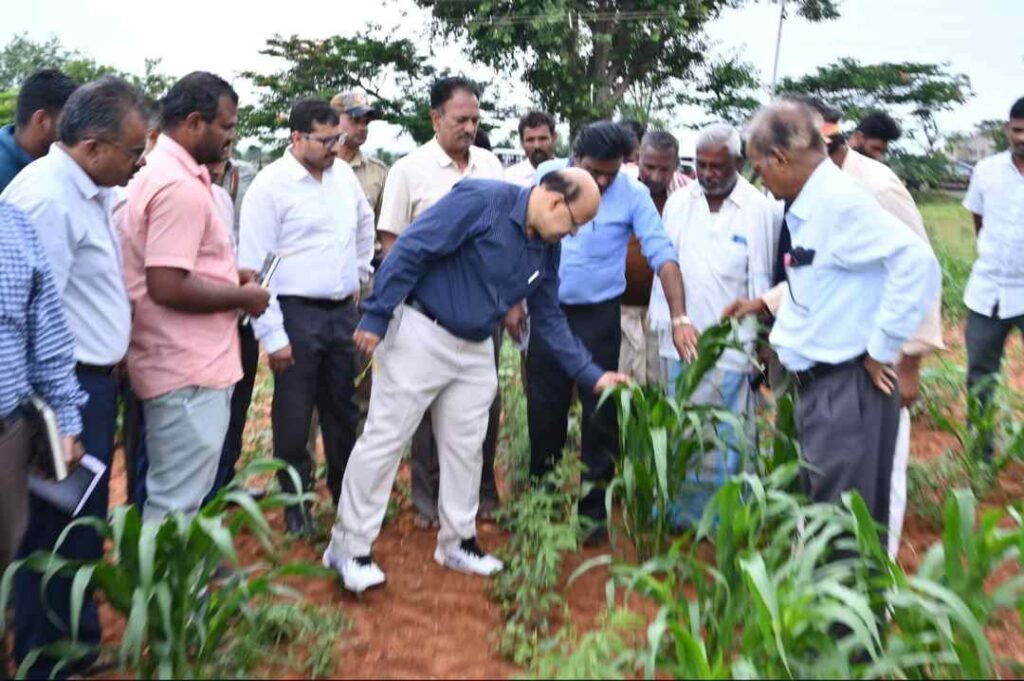 ಬೆಳೆ ಸಮೀಕ್ಷೆ