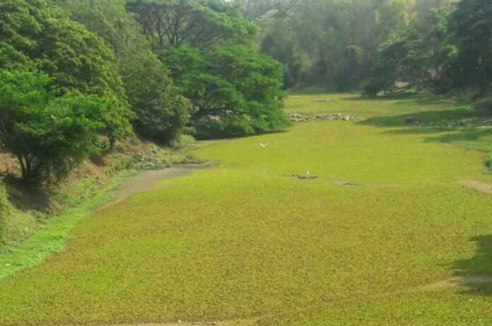 ಲಕ್ಷ್ಮಣತೀರ್ಥ ನದಿ ಹುಣಸೂರು