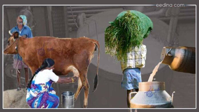 ಕೆಎಂಎಫ್‌