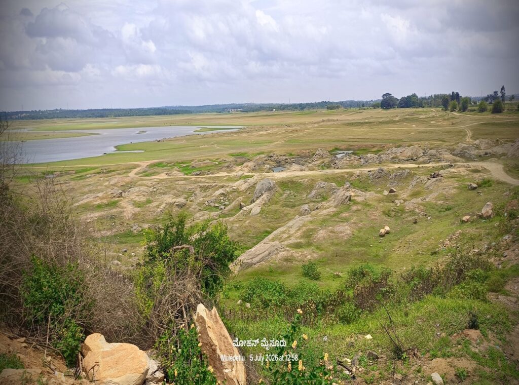 1000348512