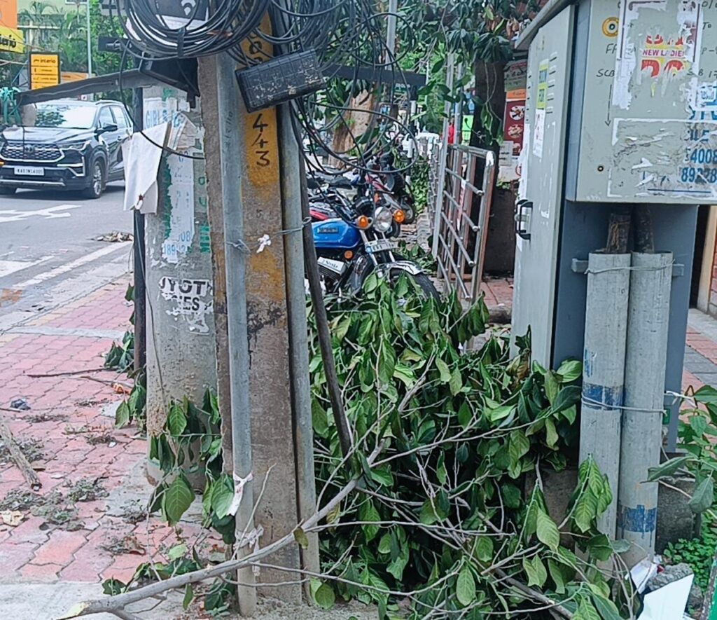 1001648420