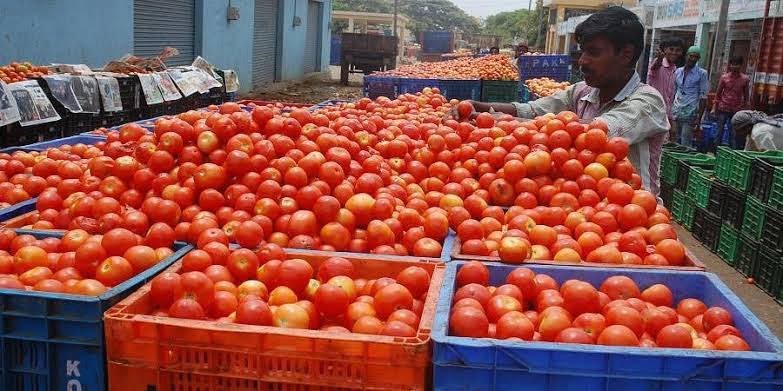 ಟೊಮ್ಯಾಟೋ ಮಾರುಕಟ್ಟೆ