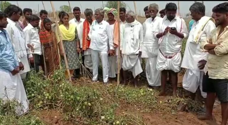 ಯಾದಗಿರಿ | ಅಕಾಲಿಕ ಮಳೆಯಿಂದ ಅಪಾರ ಬೆಳೆ ಹಾನಿ; ಸಂಕಷ್ಟಕ್ಕೆ ಸಿಲುಕಿದ ರೈತರು