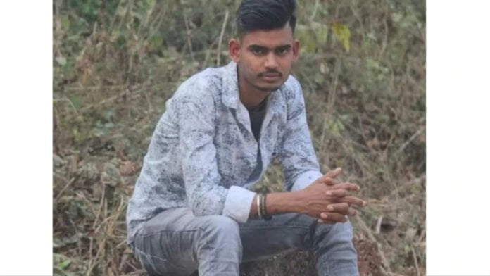 Cricket