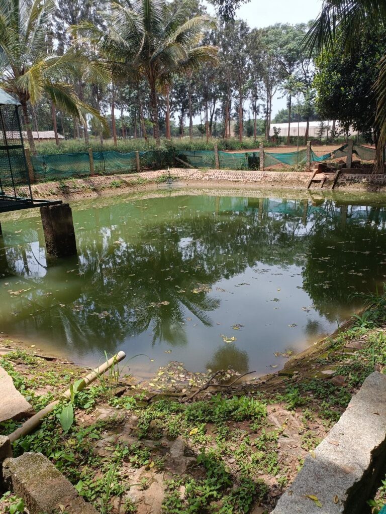 5. Farm Pond