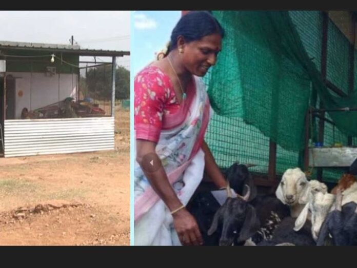 ಅರುಂಧತಿ ತೃತೀಯಲಿಂಗಿ