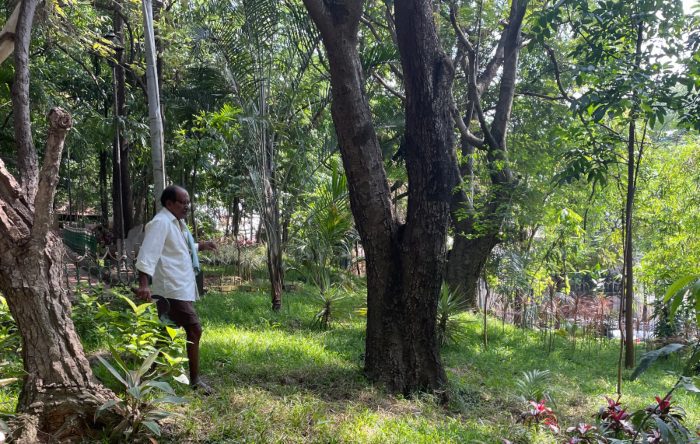 ಗಿಡ ಮರ ನಮ್ ಜನ ಬಸವರಾಜು ಮೇಗಲಕೇರಿ