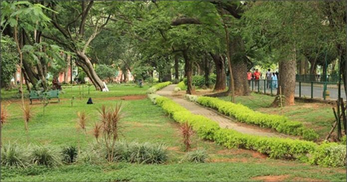 ಬೃಹತ್ ಉದ್ಯಾನ