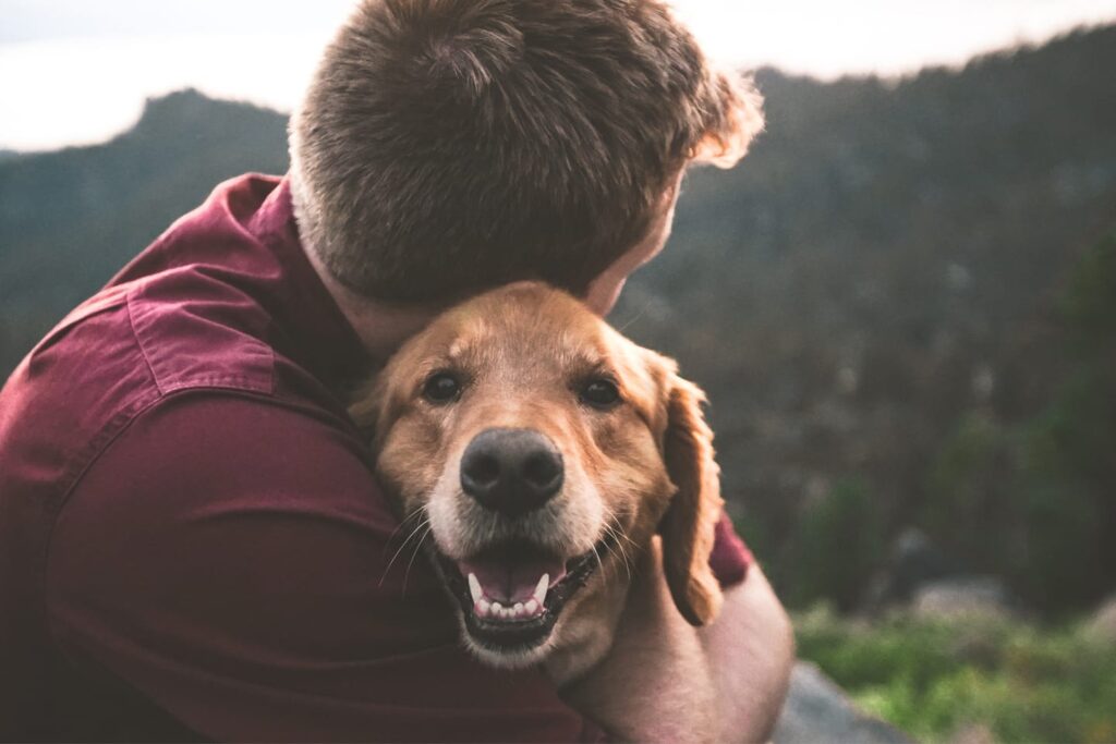 DogLoyalty eric ward 610868 unsplash