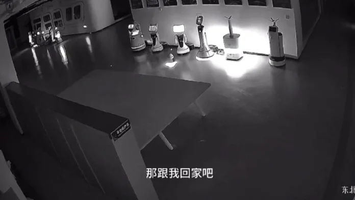 Erbai-robot