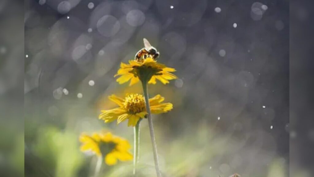 Global Warming 16694340863x2 1