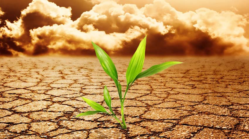 Global Warming or Climate Change