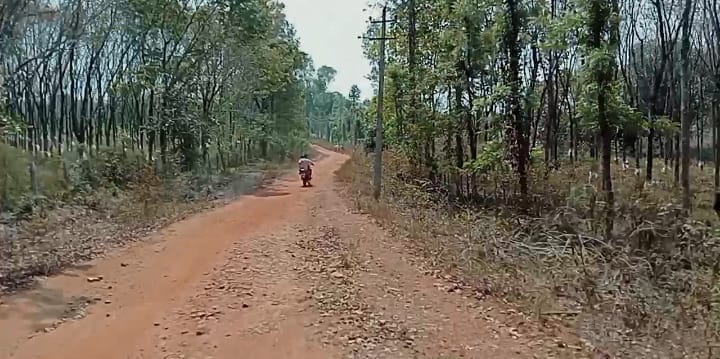 IMG 20250203 WA0037