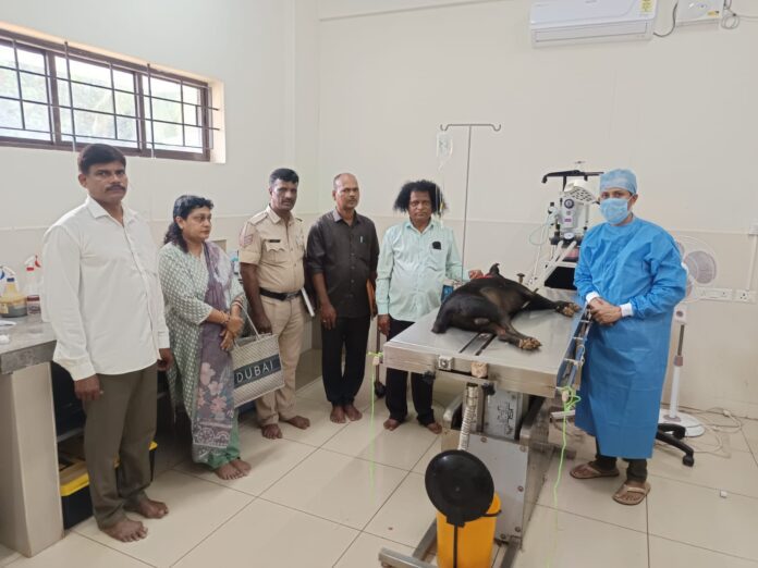ಉಡುಪಿ | ನಾಯಿ ಕೊಂದಿರುವುದಾಗಿ ದೂರು ದಾಖಲಿಸಿದ ಪೋಷಕಿ, ಮುಂದುವರಿದ ತನಿಖೆ