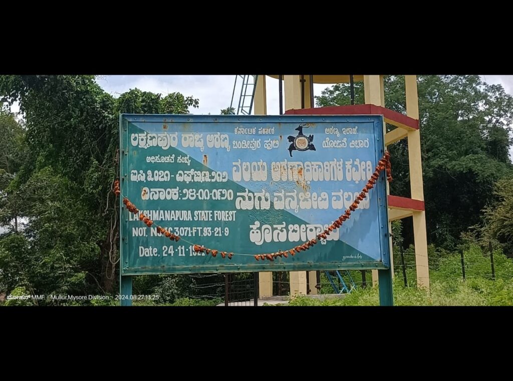 IMG 20250308 WA0018