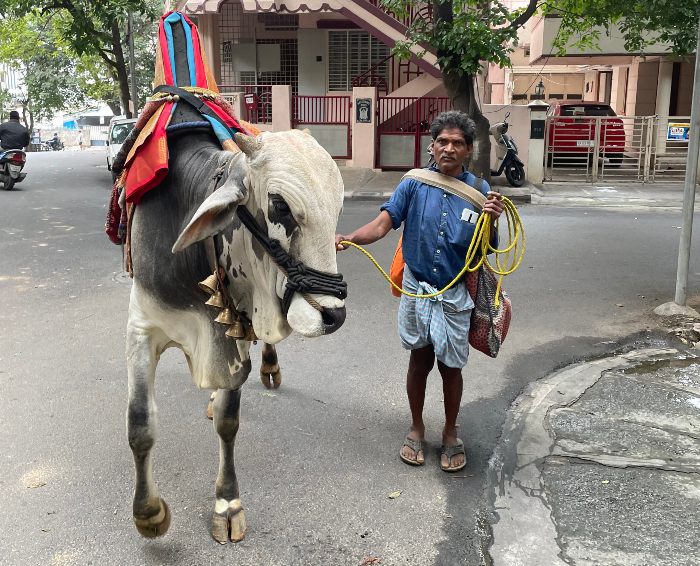 ಕೋಲೆ ಬಸವ