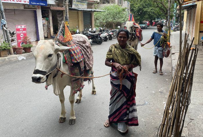 ಕೋಲೆ ಬಸವ