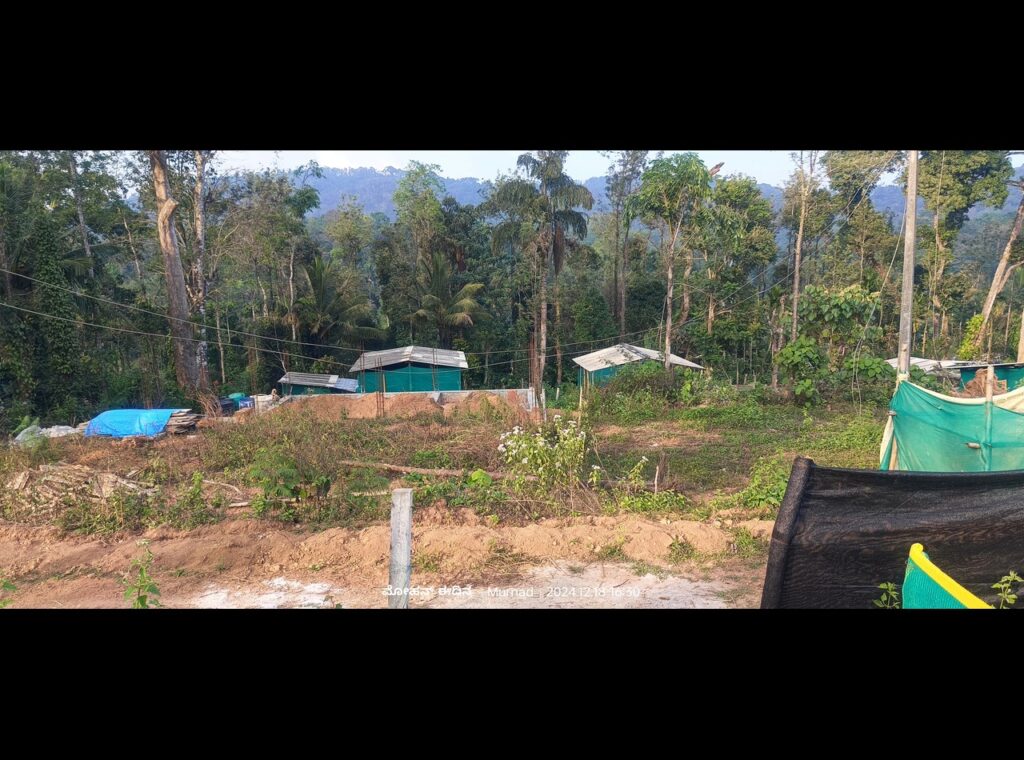 IMG 20250331 143624
