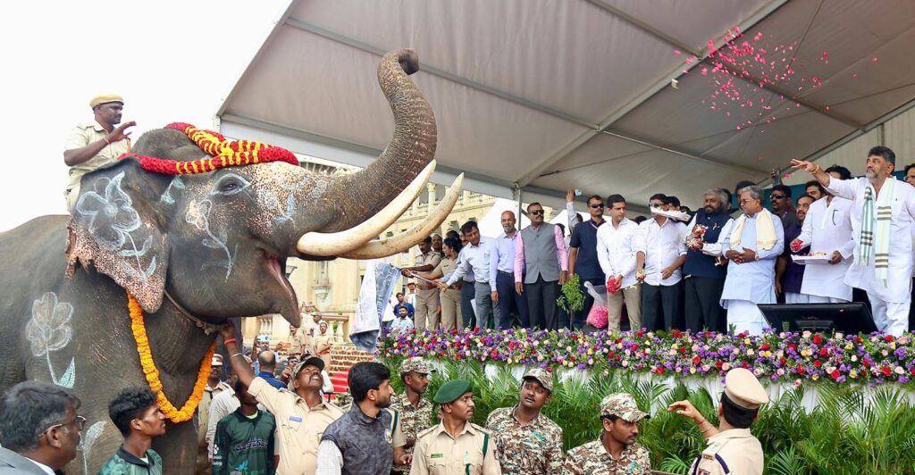 KUMKI ELEPHANTS