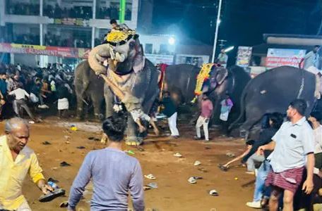 ಕೇರಳ - ಆನೆ