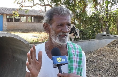 Lingayya