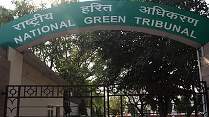 ನೇತ್ರಾವತಿ, ಎನ್&zwnj;ಜಿಟಿ, ಪರಿಸರ ಹಾನಿ, Netravati, NGT, environmental damage,