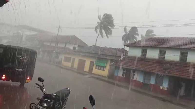 Rain 3 1