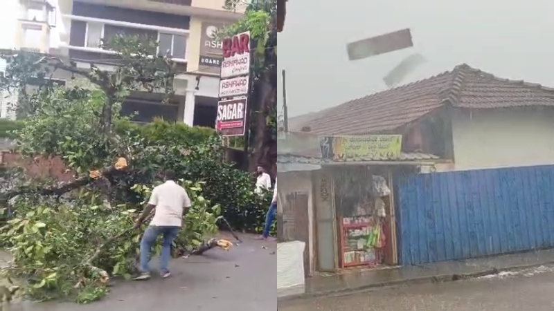 Rain Chikkamagaluru