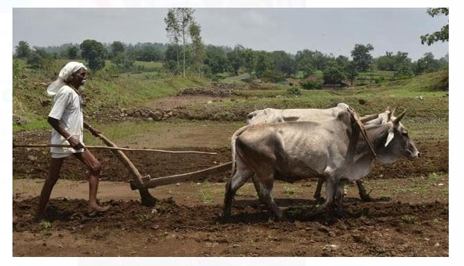 ಗ್ರಾಮೀಣ ಭಾರತ