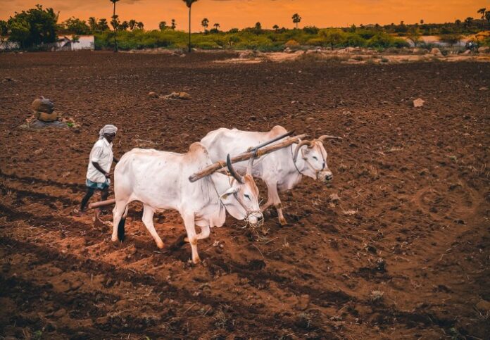 ಬಗರ್‌ಹುಕುಂ ಅರಣ್ಯ ಕಾರ್ಯಪಡೆ ಈ ದಿನ ಸಂಪಾದಕೀಯ