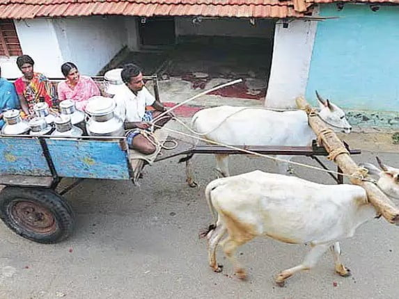 ಹಾಲು ಉತ್ಪಾದನೆ