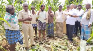 ಬೆಳೆ ಹಾನಿ ಪರಿಶೀಲನೆ