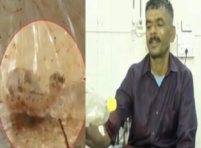 ಬೆಳಗಾವಿ | ಕಚ್ಚಿದ ಹಾವನ್ನೇ ಹಿಡಿದು ಬಾಟಲ್ ನಲ್ಲಿ ಹಾಕಿಕೊಂಡು ಆಸ್ಪತ್ರೆಗೆ ಬಂದ ರೈತ