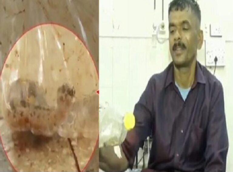ಬೆಳಗಾವಿ | ಕಚ್ಚಿದ ಹಾವನ್ನೇ ಹಿಡಿದು ಬಾಟಲ್ ನಲ್ಲಿ ಹಾಕಿಕೊಂಡು ಆಸ್ಪತ್ರೆಗೆ ಬಂದ ರೈತ
