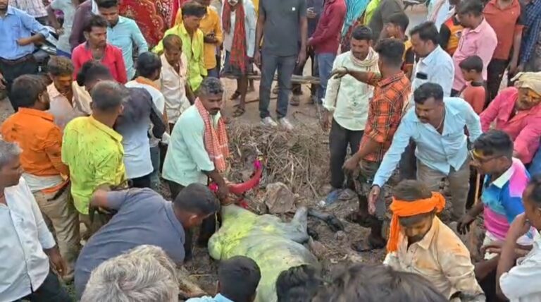 ಬೆಳಗಾವಿ | ಯಲ್ಲಮ್ಮನ ಗುಡ್ಡದಿಂದ ಮರಳುತ್ತಿರುವಾಗ ಗುಂಡಿಗೆ ಬಿದ್ದ ಎತ್ತಿನ ಚಕ್ಕಡಿ