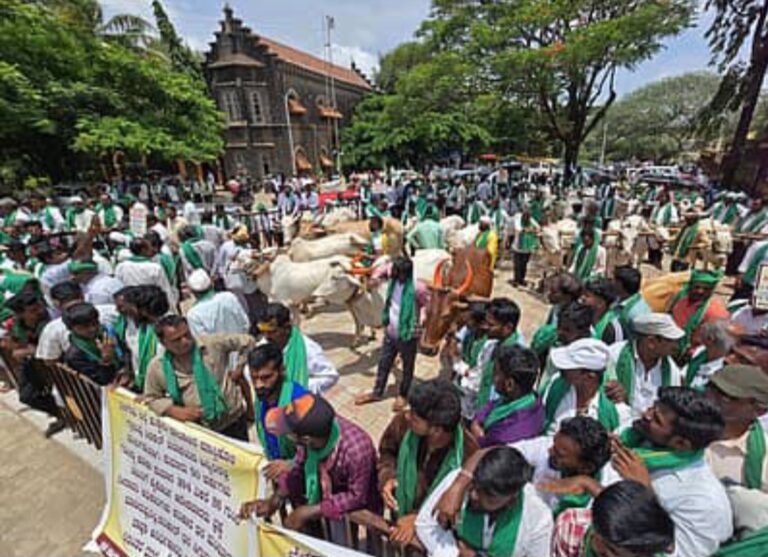 ಬೆಳಗಾವಿ | 500ಕ್ಕೂ ಹೆಚ್ಚು ರೈತರಿಂದ ಎರಡನೇ ದಿನವೂ ಅಹೋರಾತ್ರಿ ಧರಣಿ: ಜಾನುವಾರುಗಳೊಂದಿಗೆಪ್ರತಿಭಟನೆ