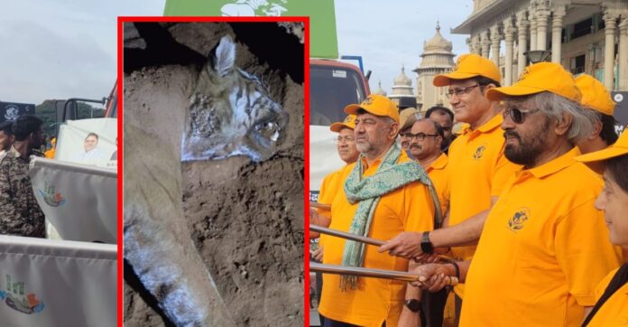 Tiger Death