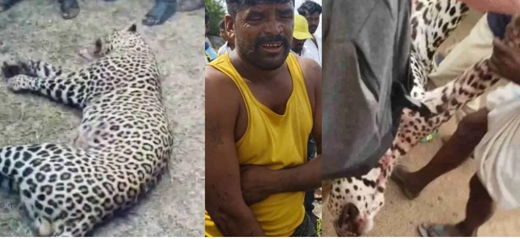 ಚಿರತೆ ಕೊಂದ ಗ್ರಾಮಸ್ಥರು