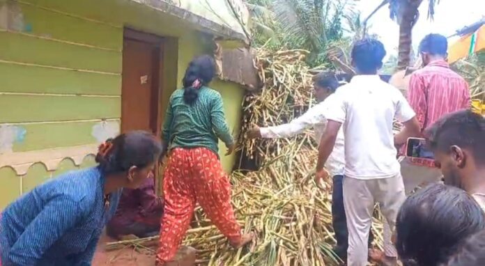 ಮಂಡ್ಯ