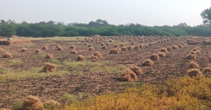 ರೋಣ ಸೀಮೆಯ ಕನ್ನಡ