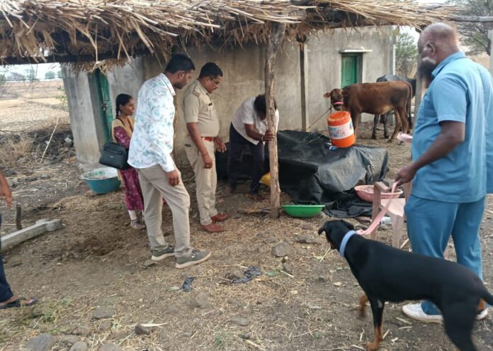 ಗಾಂಜಾ ಜಪ್ತಿ