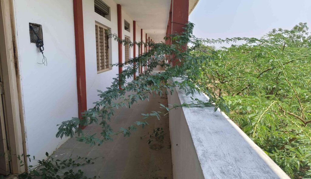WhatsApp Image 2025 05 02 at 3.10.14 PM