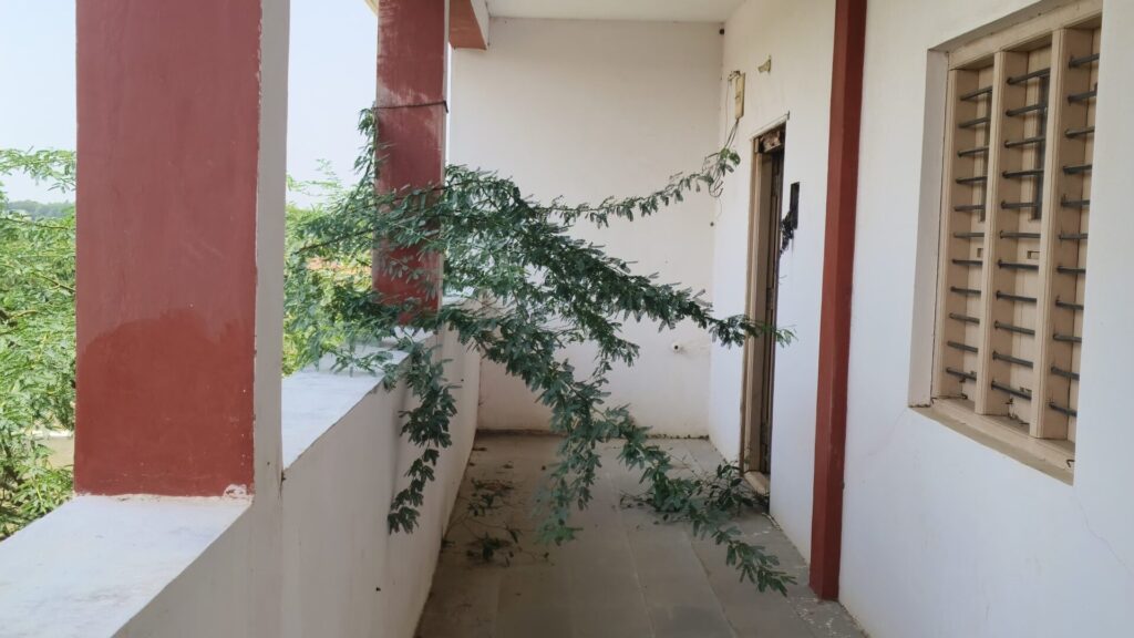 WhatsApp Image 2025 05 02 at 3.10.15 PM