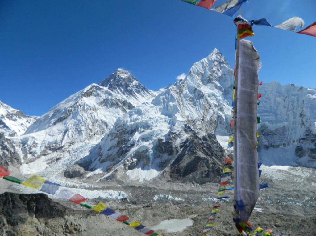 WhatsApp Image 2025 05 16 at 4.35.13 PM1