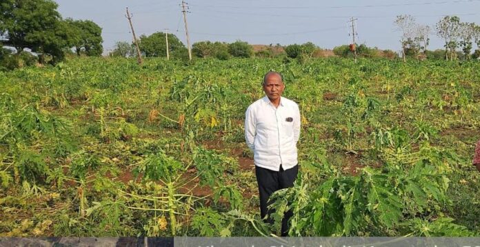 ತೋಟಗಾರಿಕೆ ಬೆಳೆ ಹಾನಿ